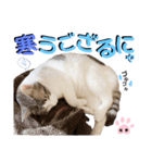 武士風な絵夢くん（個別スタンプ：11）