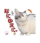 武士風な絵夢くん（個別スタンプ：12）