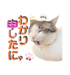 武士風な絵夢くん（個別スタンプ：13）