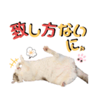 武士風な絵夢くん（個別スタンプ：14）