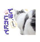 武士風な絵夢くん（個別スタンプ：16）