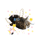 しふぉれお（個別スタンプ：4）