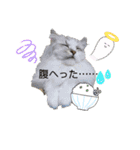 しふぉれお（個別スタンプ：20）