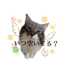 しふぉれお（個別スタンプ：23）