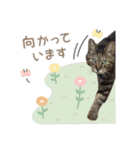 うちのツン多め時々デレ愛猫（個別スタンプ：14）