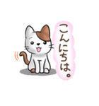 可愛い♡猫のお返事・挨拶スタンプ（個別スタンプ：3）