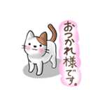 可愛い♡猫のお返事・挨拶スタンプ（個別スタンプ：6）