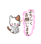 可愛い♡猫のお返事・挨拶スタンプ（個別スタンプ：20）