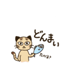 挨拶充実❣️毎日使える【トラ猫:猫詰合せ】（個別スタンプ：26）