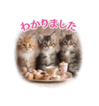 ずっと使える【敬語】猫♡花＆sweets（個別スタンプ：7）