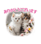 ずっと使える【敬語】猫♡花＆sweets（個別スタンプ：9）