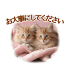 ずっと使える【敬語】猫♡花＆sweets（個別スタンプ：22）