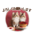 ずっと使える【敬語】猫♡花＆sweets（個別スタンプ：29）