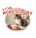 ずっと使える【敬語】猫♡花＆sweets（個別スタンプ：30）