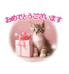 ずっと使える【敬語】猫♡花＆sweets（個別スタンプ：31）