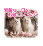 ずっと使える【敬語】猫♡花＆sweets（個別スタンプ：32）