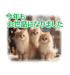 ずっと使える【敬語】猫♡花＆sweets（個別スタンプ：36）