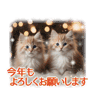 ずっと使える【敬語】猫♡花＆sweets（個別スタンプ：39）