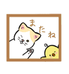 とわのひよ子2 猫ちゃんと一緒（個別スタンプ：5）