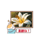 はるかの花束 動く＊（個別スタンプ：4）