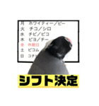 桜文鳥わすけ わすは仕事中【改訂版】（個別スタンプ：5）