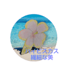 チロchの主 花の絵 花言葉と夏向けスタンプ（個別スタンプ：16）