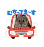 暴れ食いしん坊ハムスターやちる君2〜春〜（個別スタンプ：6）