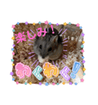 暴れ食いしん坊ハムスターやちる君2〜春〜（個別スタンプ：7）