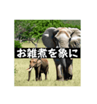 動物ダジャレスタンプ(需要なし)（個別スタンプ：4）