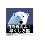 動物ダジャレスタンプ(需要なし)（個別スタンプ：8）