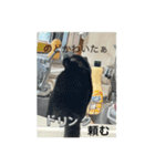 いつでも猫と一緒スタンプ（個別スタンプ：4）