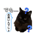 黒猫 ルナ院長140にゃんめ（個別スタンプ：4）