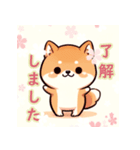 かわいい ちび柴犬 №7（個別スタンプ：14）