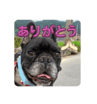 だん吉スタンプ①（個別スタンプ：7）