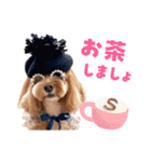 キャバプー3兄弟（個別スタンプ：24）