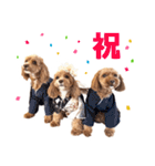 キャバプー3兄弟（個別スタンプ：33）