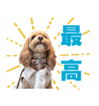 キャバプー3兄弟（個別スタンプ：40）