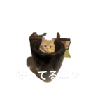 ナイーブにゃん（個別スタンプ：4）