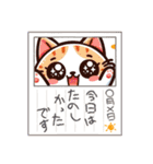 にゃんともキュート！猫たちの日常（個別スタンプ：25）