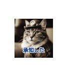 猫のスチパン先輩 2（個別スタンプ：5）