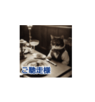 猫のスチパン先輩 2（個別スタンプ：19）