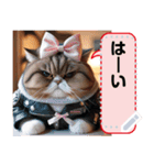 Plump cats' daily message sticker 2（個別スタンプ：13）