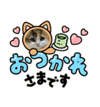 らぶちゃん仔猫時代（個別スタンプ：2）