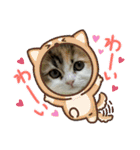 らぶちゃん仔猫時代（個別スタンプ：3）