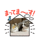 らぶちゃん仔猫時代（個別スタンプ：9）