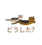 ウニギンテン2   うちのねこ（個別スタンプ：7）