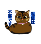 ウニギンテン2   うちのねこ（個別スタンプ：13）