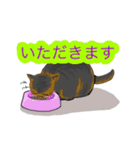 ウニギンテン2   うちのねこ（個別スタンプ：16）