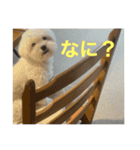 しろくろまめスタンプ（個別スタンプ：2）