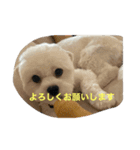 しろくろまめスタンプ（個別スタンプ：9）